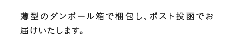 薄型のダンボール箱で梱包し、ポスト投函でお届けいたします。