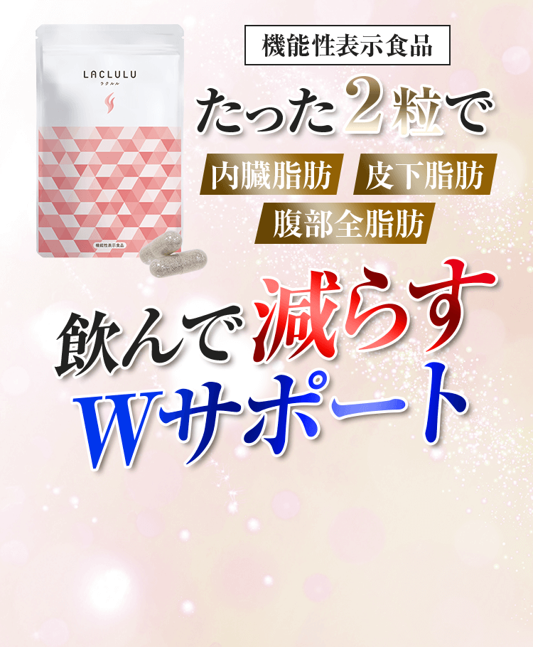 たった2粒で 内臓脂肪 皮下脂肪 腹部全脂肪 飲んで減らす Wサポート